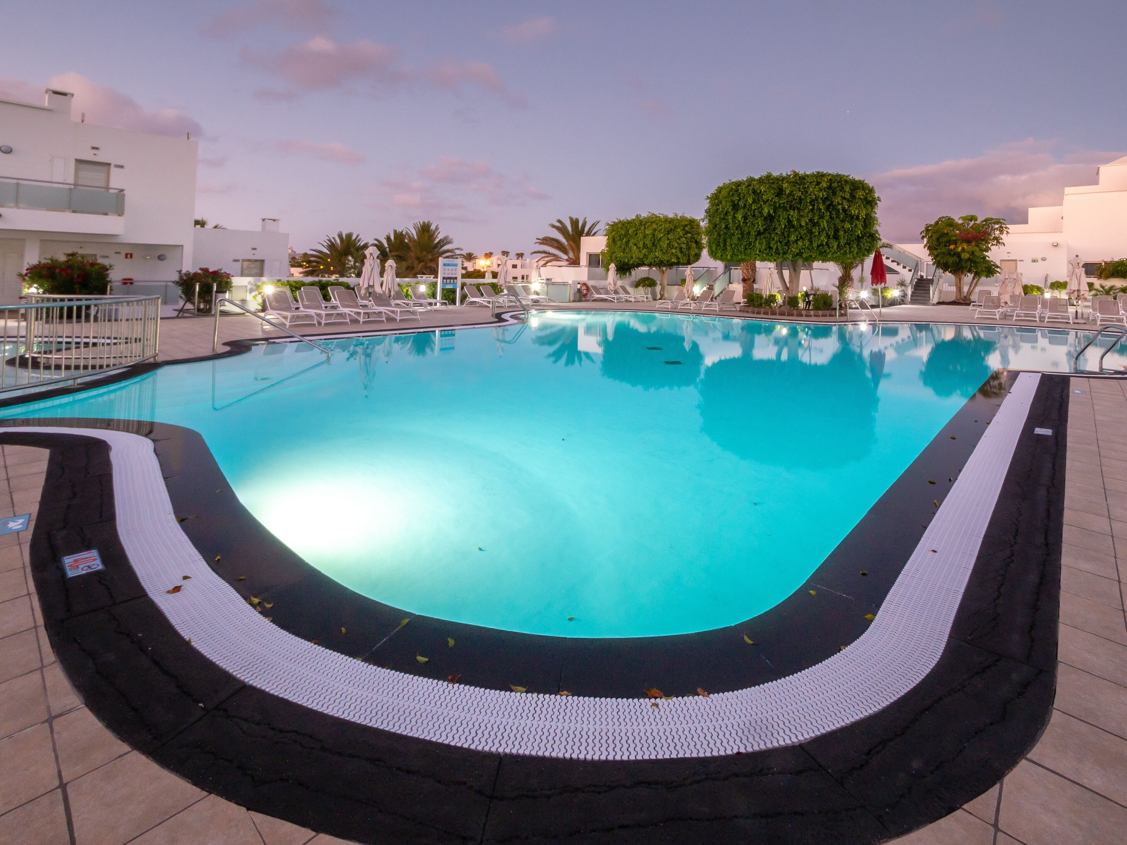 Una piscina con borde de baldosas, rodeada de sillas de descanso y palmeras.