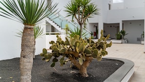 Una planta de cactus en una maceta, una palmera y un edificio moderno con una escalera.