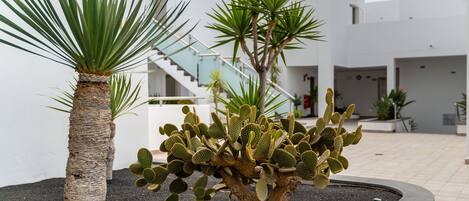 A cactus plant in a planter, a palm tree, and a modern building with a staircase.