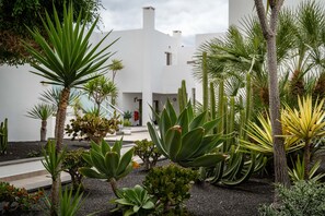 Garden - Hotel Lanzarote Village (Tías)