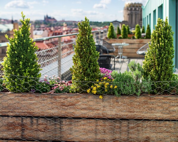 Terraço/pátio