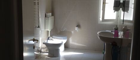 A bathroom with a toilet, sink, and window.