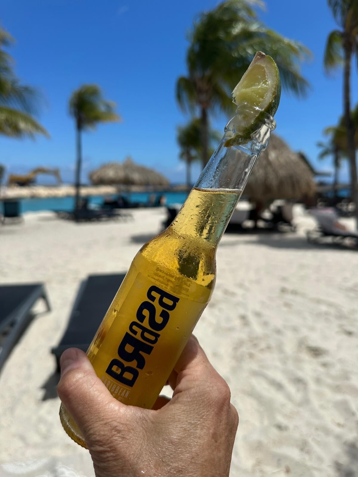 A hand holding a bottle with a label, set against a beach background with palm trees and a clear sky.