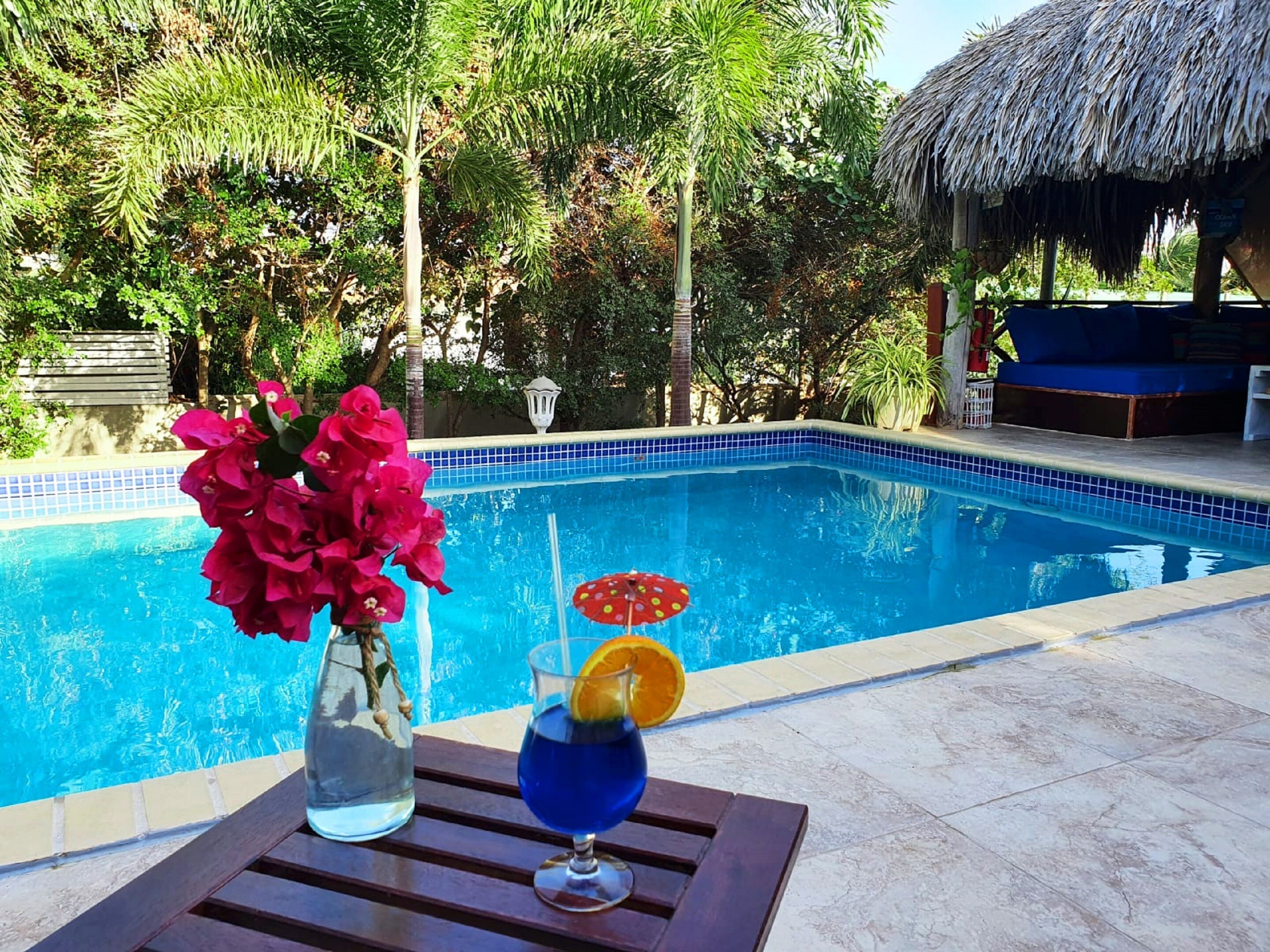 Outdoor pool, open 8:00 AM to 8:00 PM, pool loungers