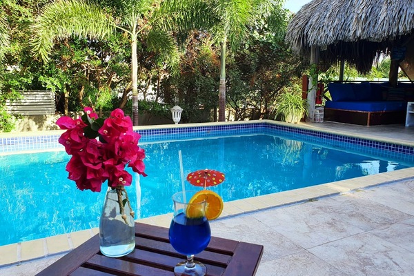 Outdoor pool, open 8:00 AM to 8:00 PM, sun loungers