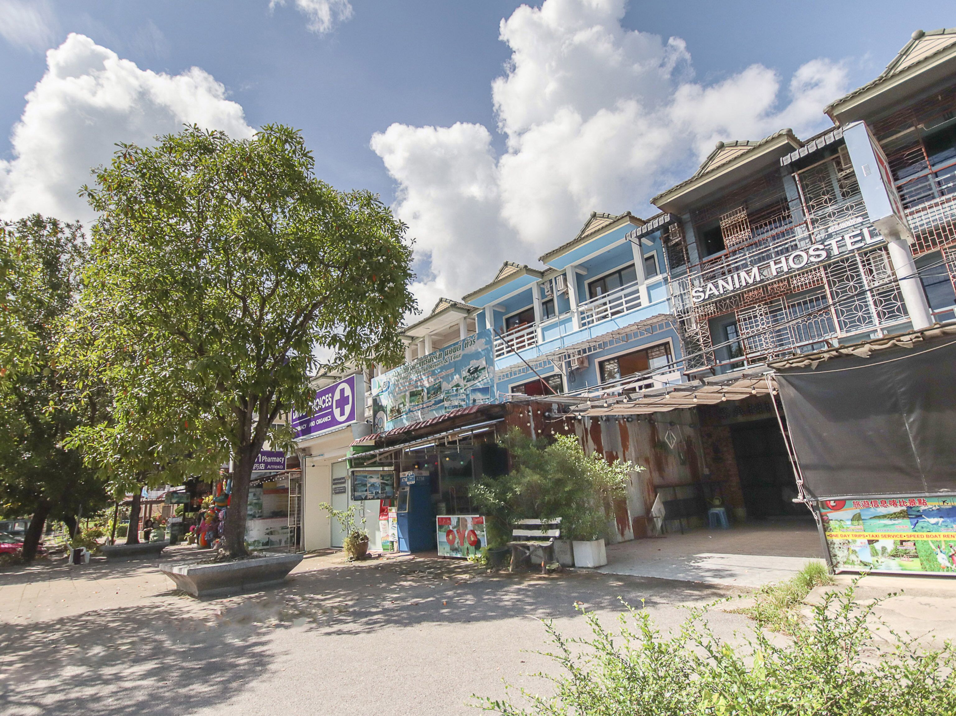 A street view with a pharmacy, a hostel, and a tree.