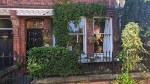 A brick building with ivy-covered windows and a black metal fence. - The Sycamore Guest House (York)
