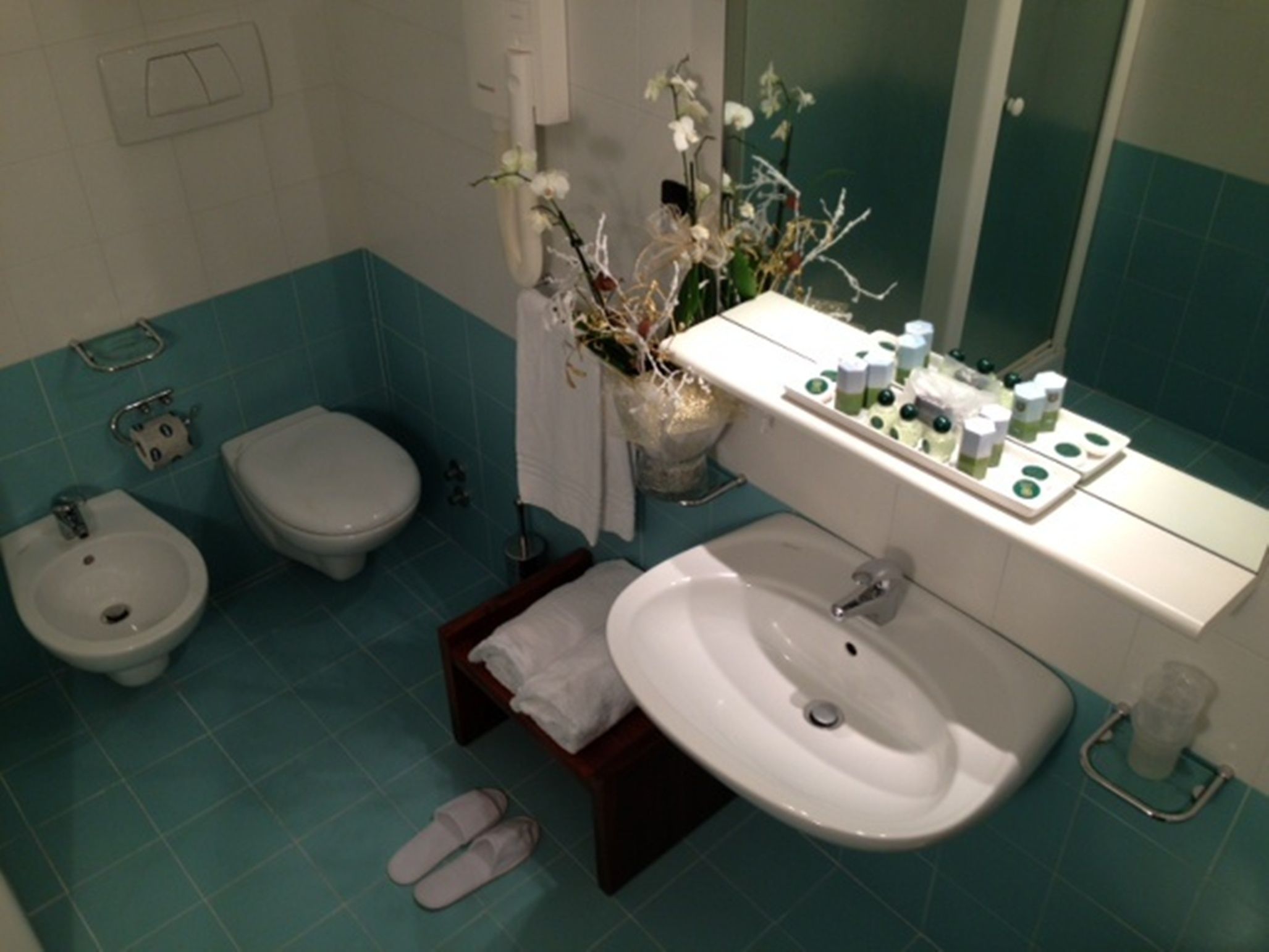 shower, free toiletries, hair dryer, slippers