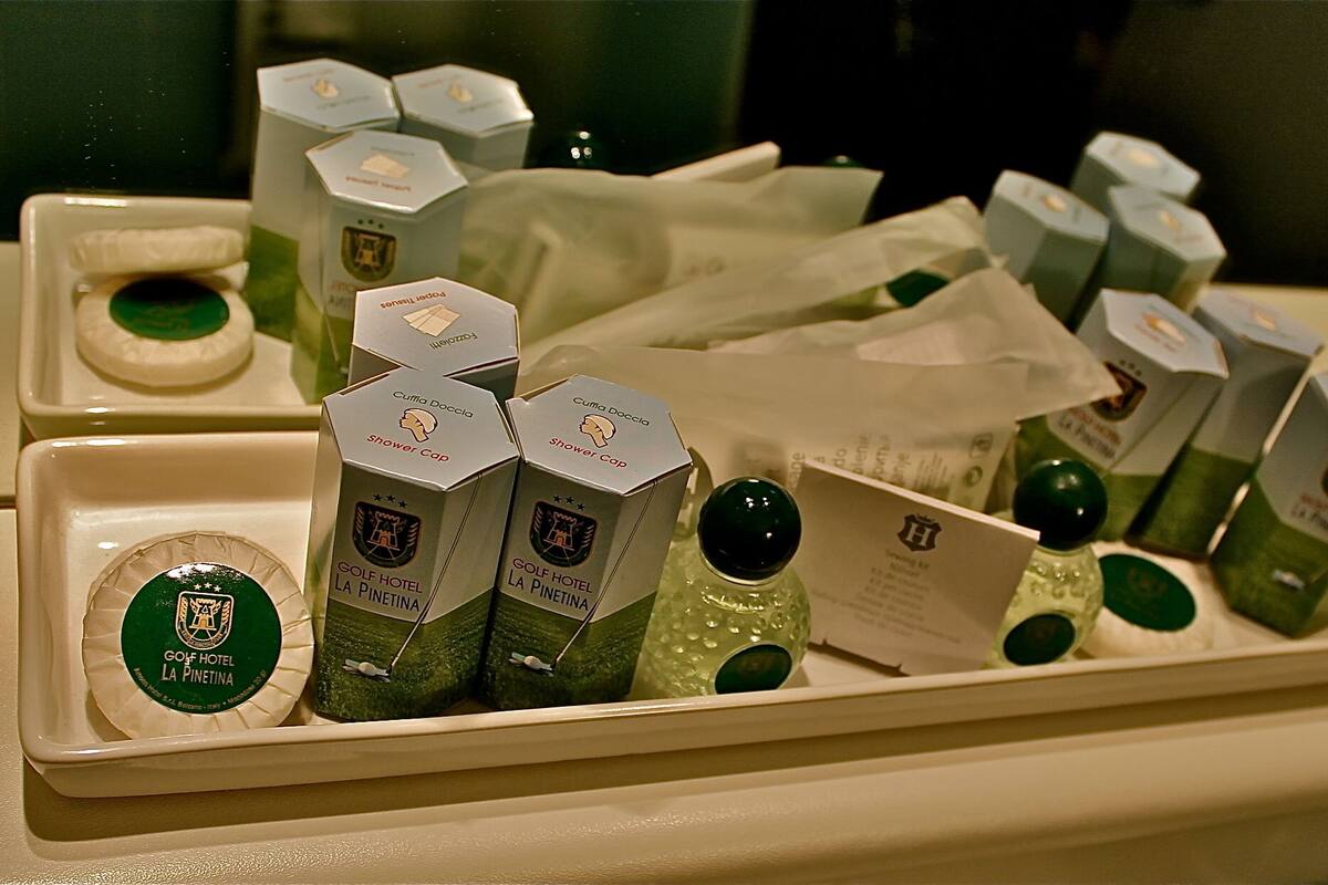 shower, free toiletries, hair dryer, slippers