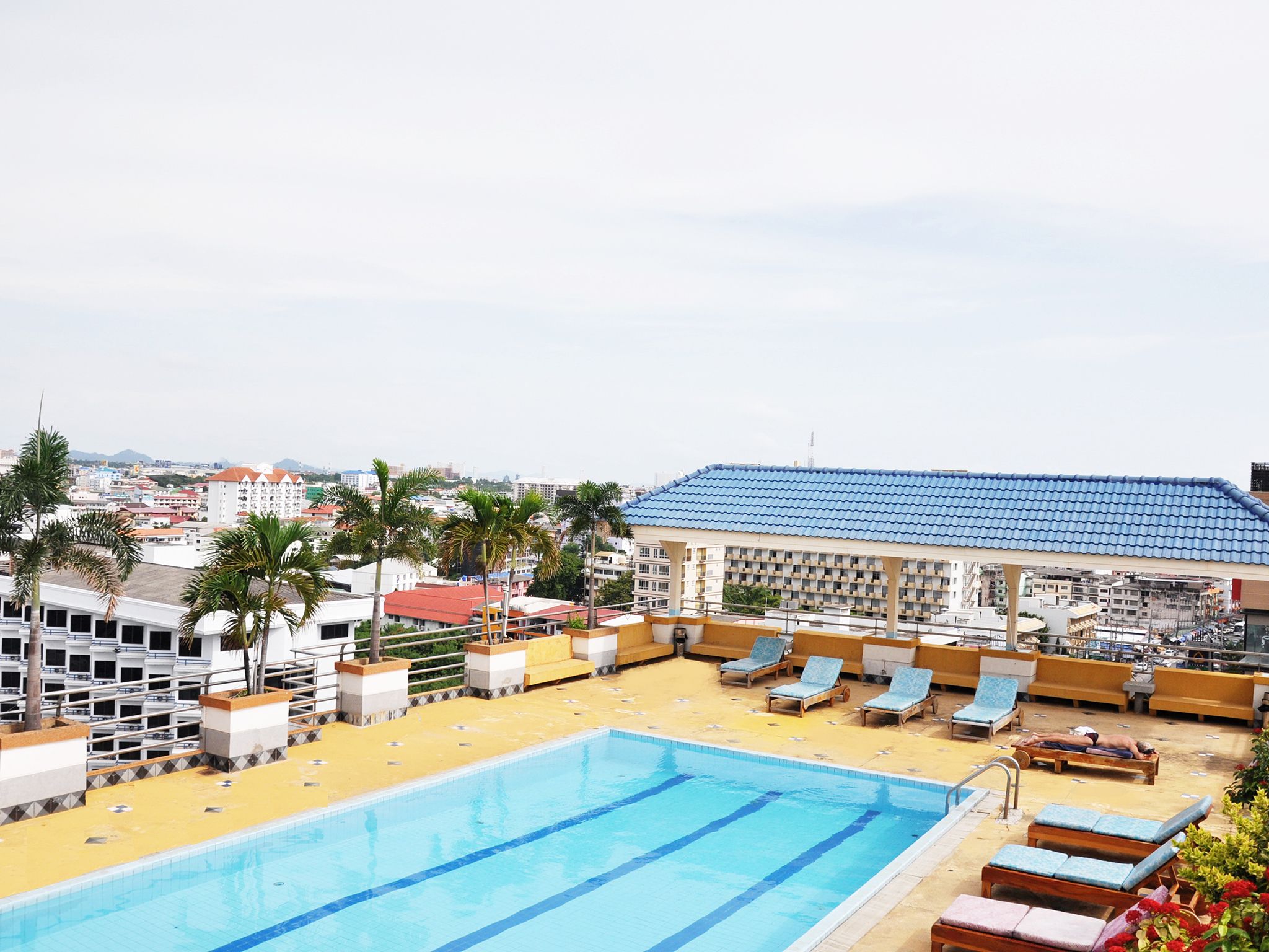 A rooftop swimming pool with lounge chairs and palm trees.