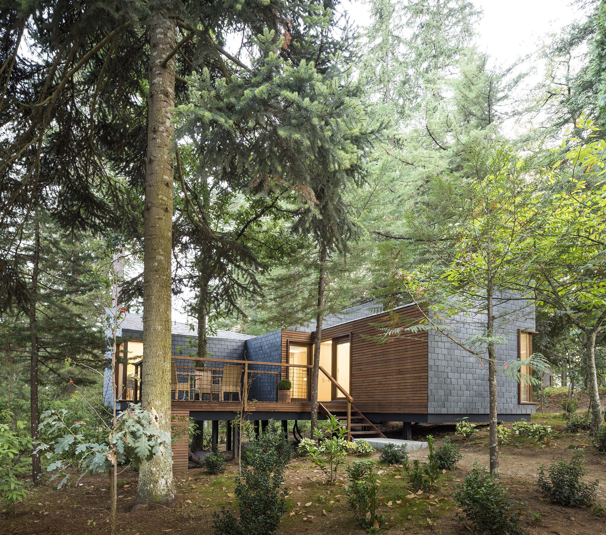 A modern treehouse with a wooden deck, built-in seating, and a glass door leading to an interior space.