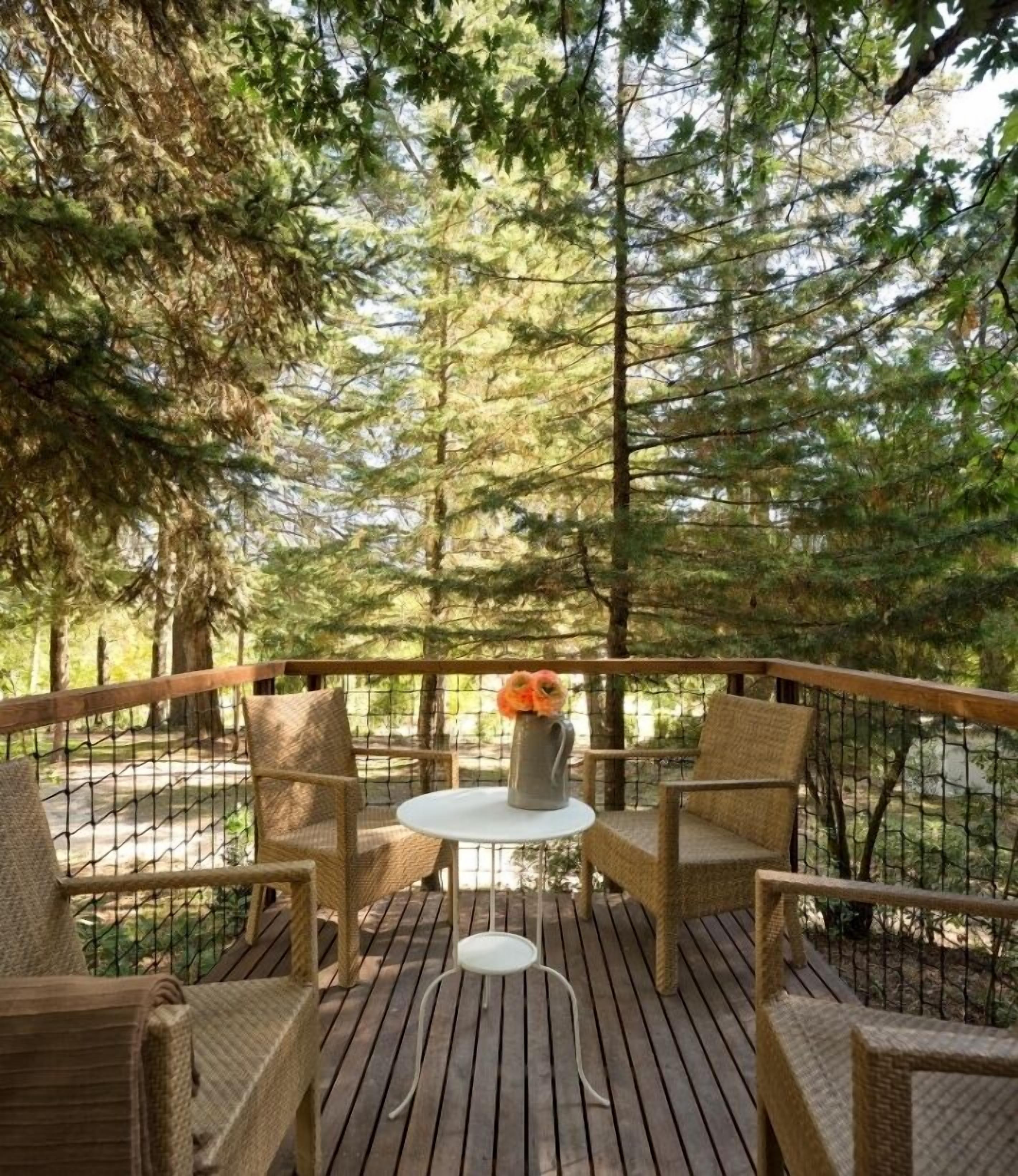 Photo - Pedras Salgadas Spa & Nature Park