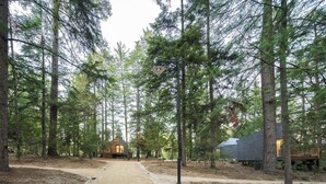 A forested area with a dirt path leading to a cabin-like structure. - Pedras Salgadas Spa & Nature Park (Vila Pouca de Aguiar)