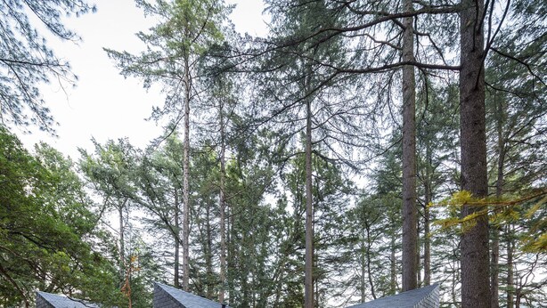 A modern cabin with two large glass doors, surrounded by a forest. - Pedras Salgadas Spa & Nature Park (Vila Pouca de Aguiar)