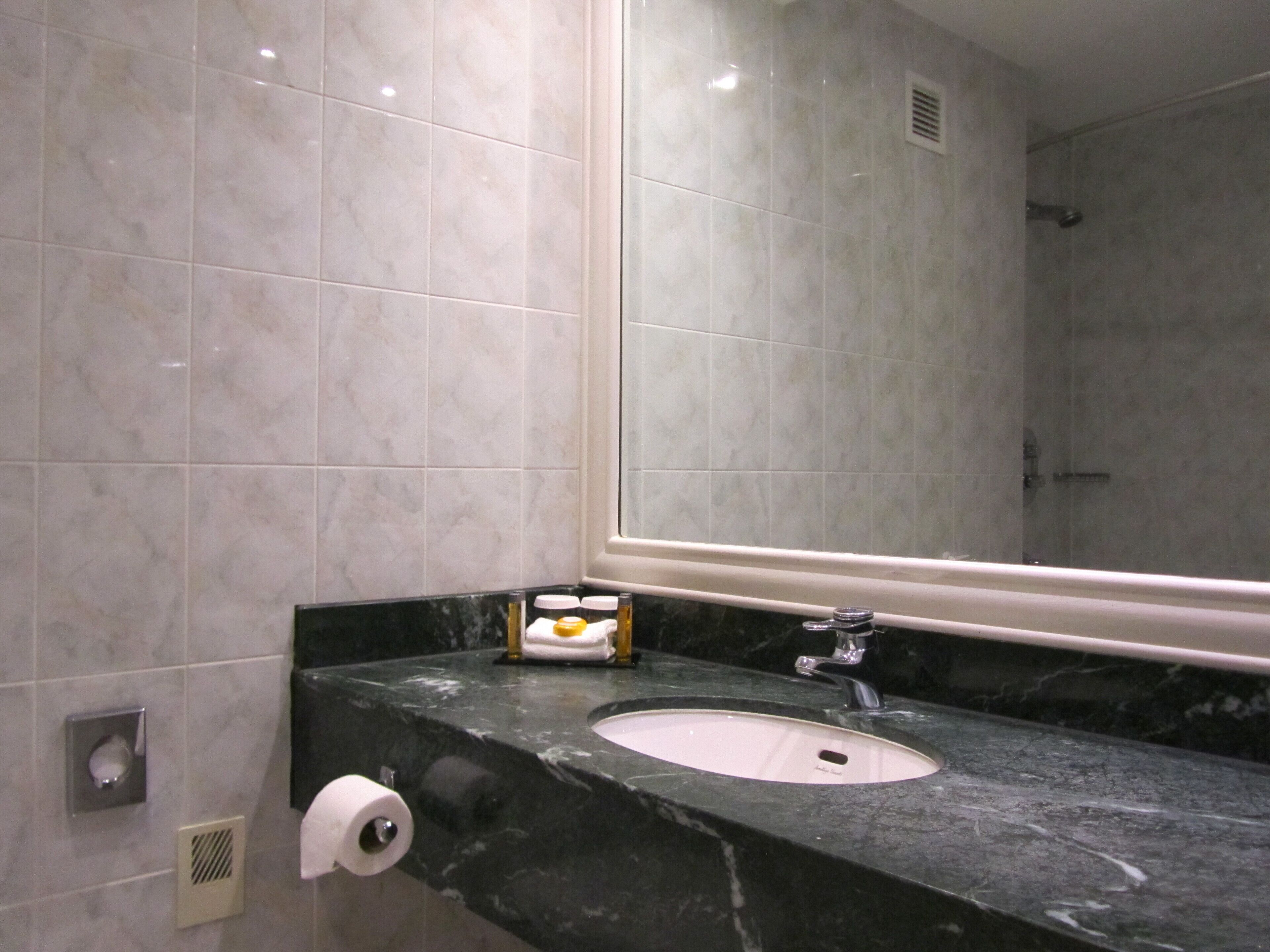 combined shower/bathtub, free toiletries, hair dryer, towels