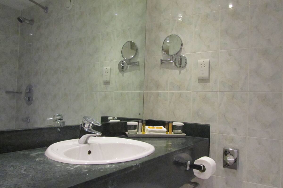 combined shower/bathtub, free toiletries, hair dryer, towels