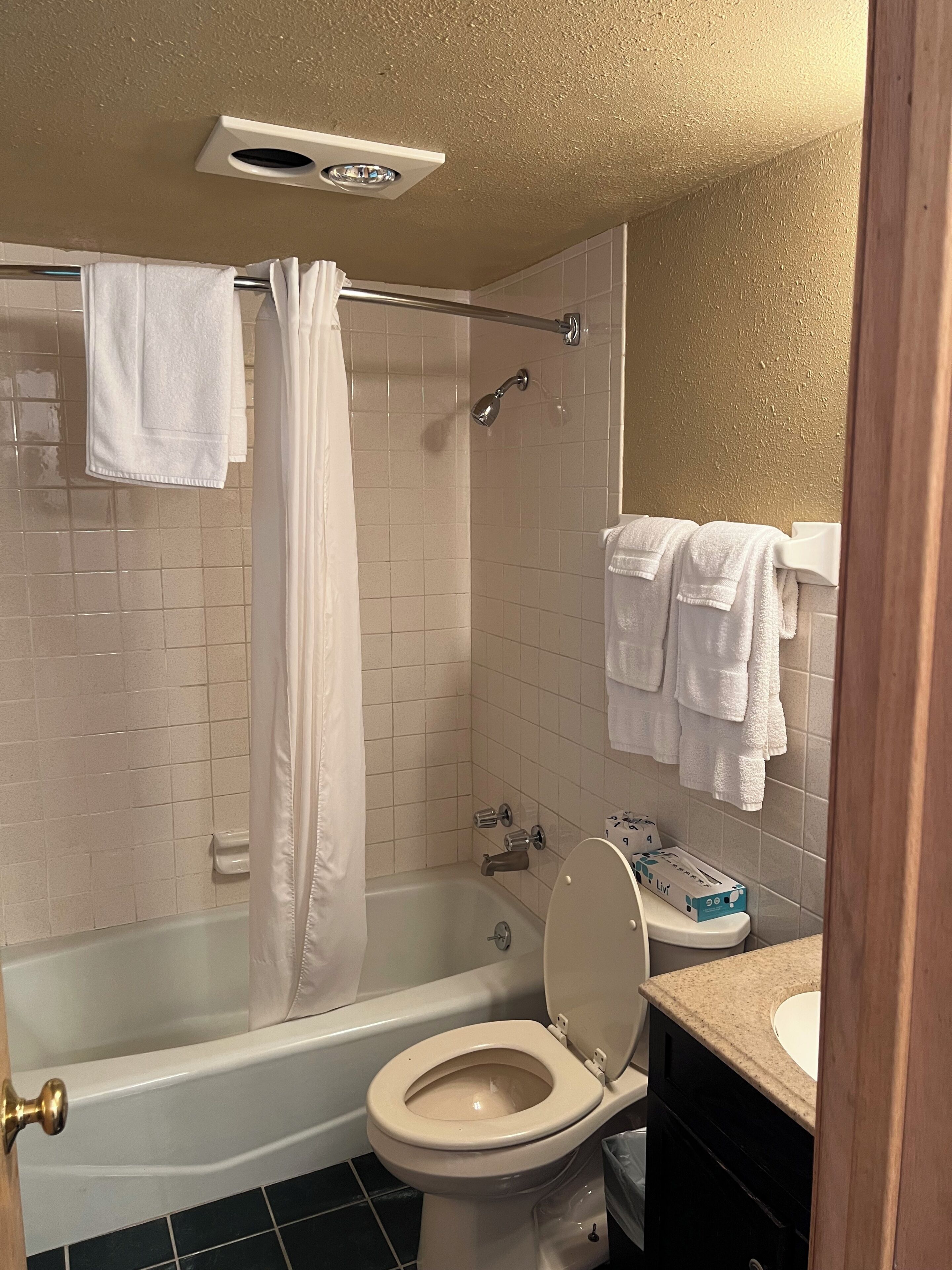 A bathroom with a bathtub, toilet, and a shower curtain.
