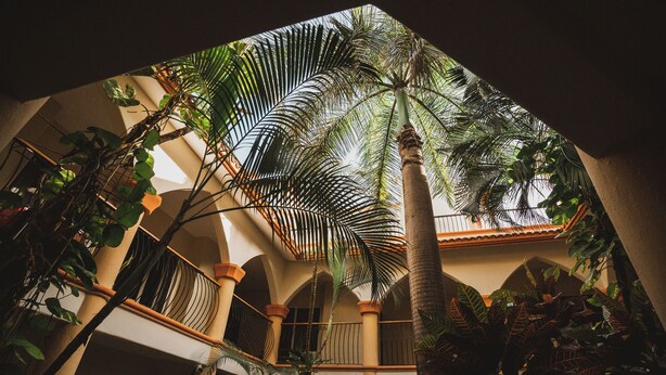 A multi-level atrium with a central palm tree, balconies, and various indoor plants. - Sahara Hotel (Playa del Carmen)