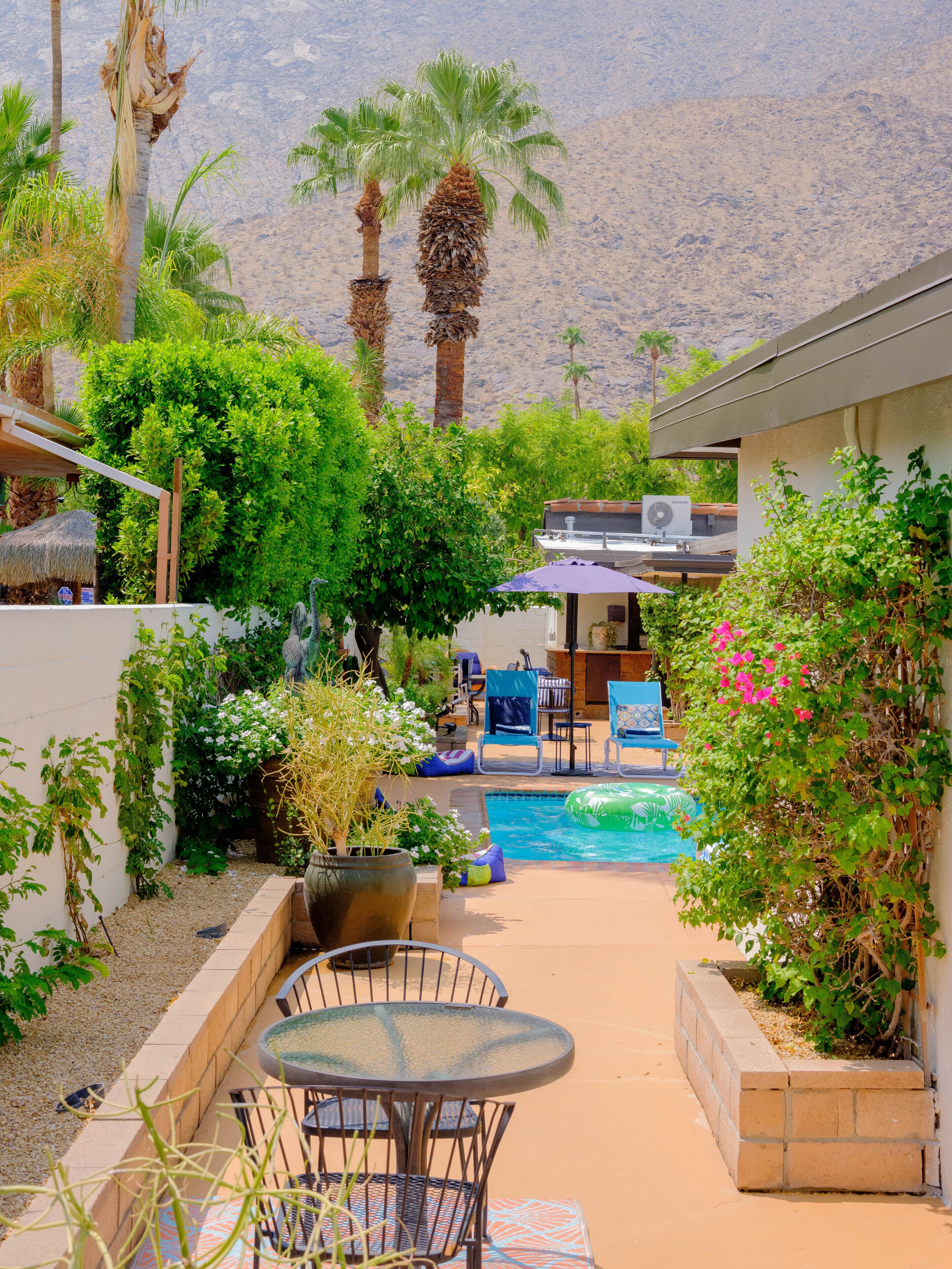 Studiosvit Deluxe - 1 kingsize-säng - utsikt mot poolen | Terrass/Patio