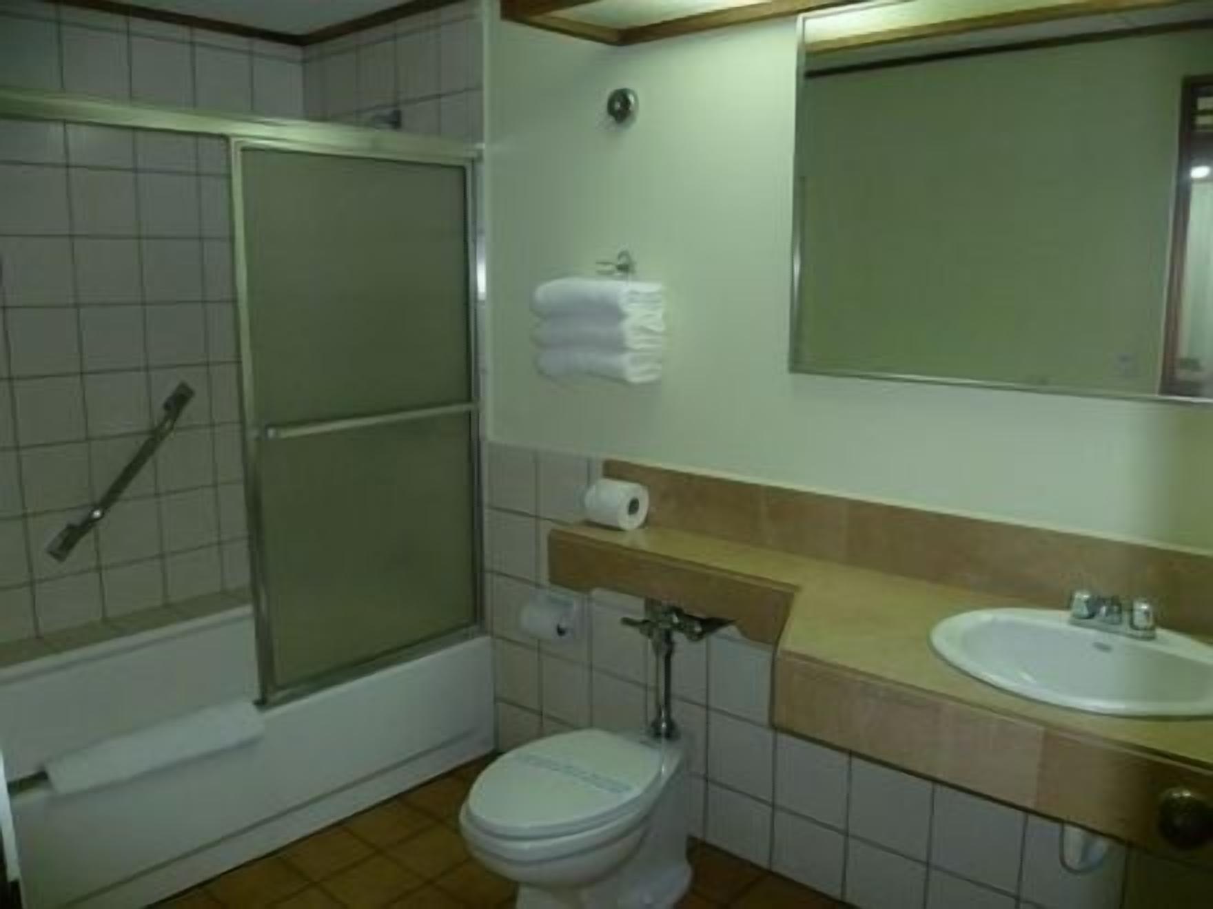 A bathroom with a toilet, sink, and shower.
