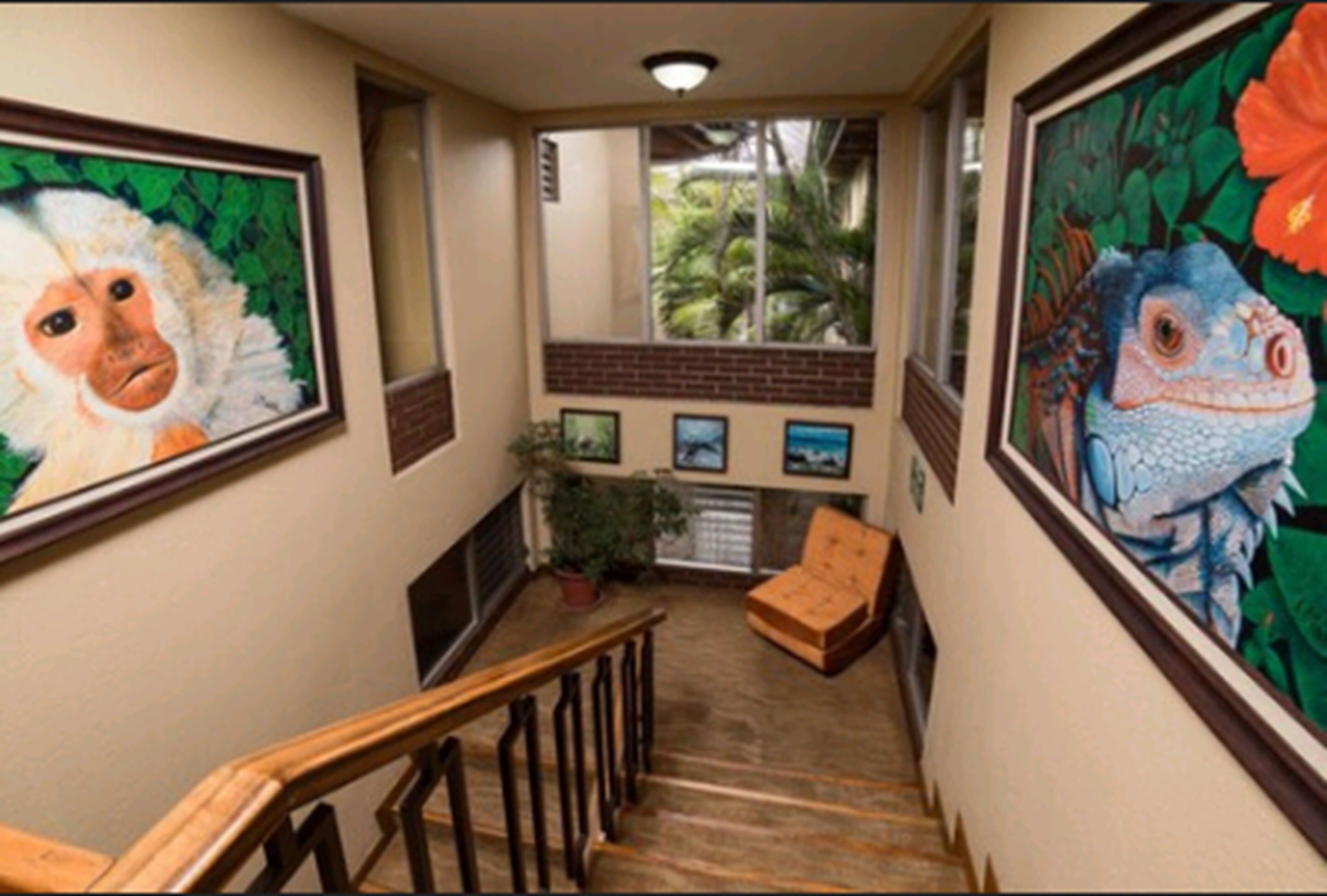 Foto - Hotel Villa Tournon