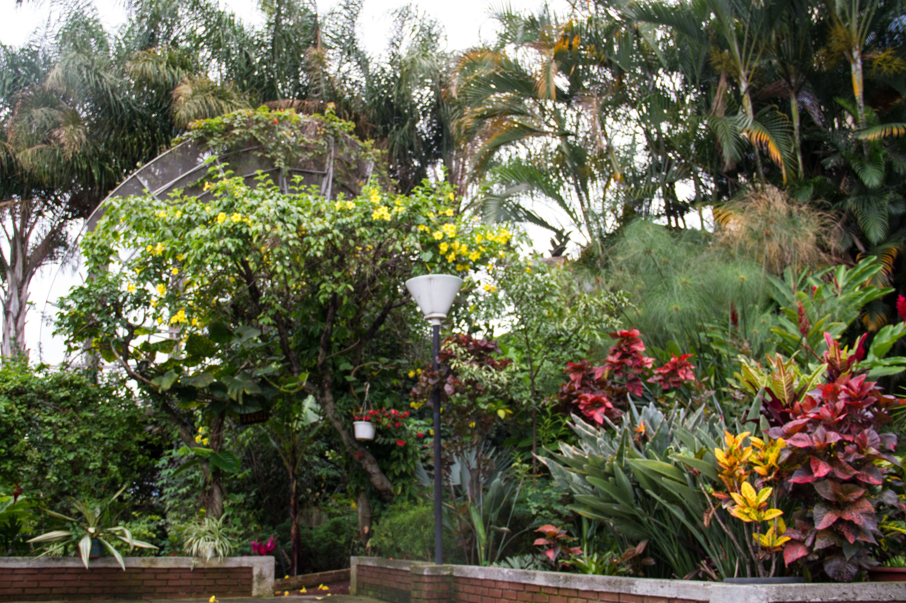 Foto - Hotel Villa Tournon