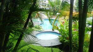 Una piscina rodeada de exuberante vegetación y palmeras.