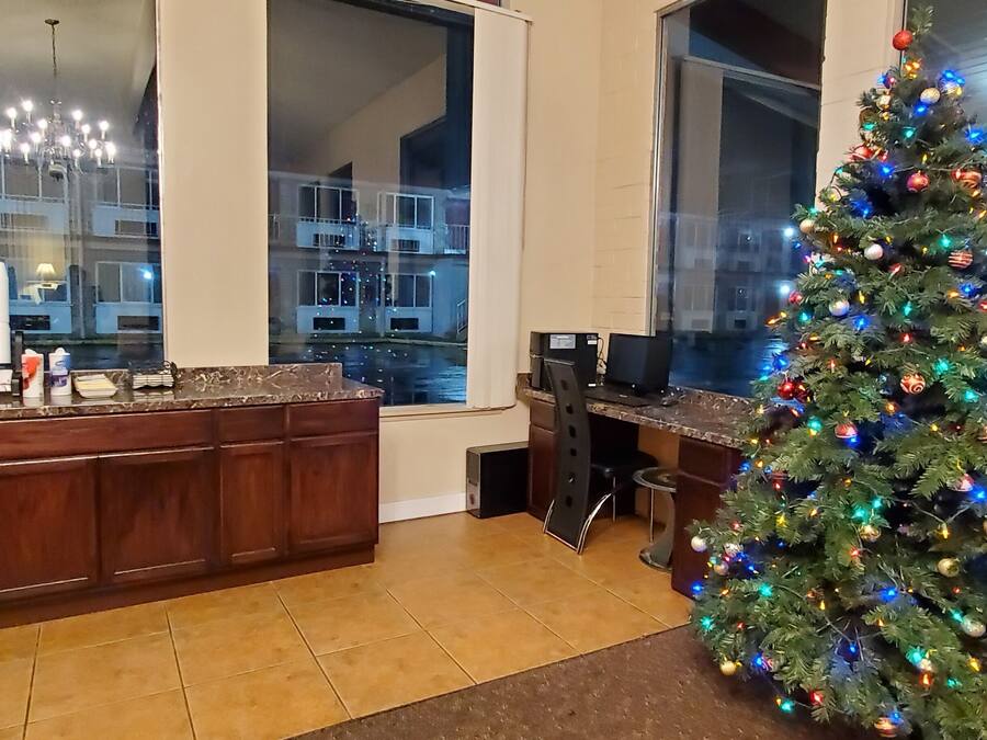 A modern kitchen with a large island, a Christmas tree, and large windows offering a view of the outside.