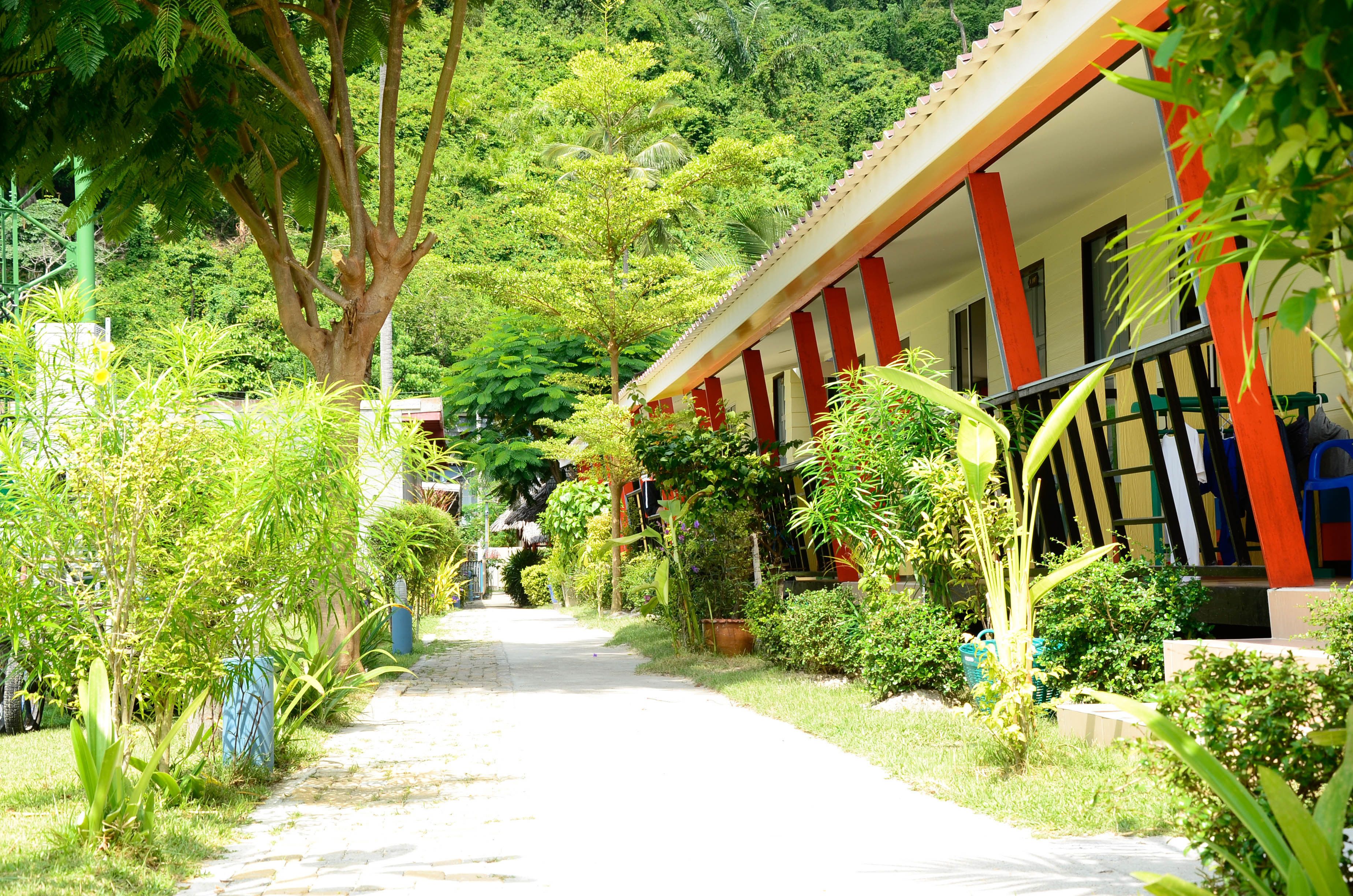 Un sendero conduce a un edificio con fachada roja y blanca, rodeado de exuberante vegetación y plantas tropicales.