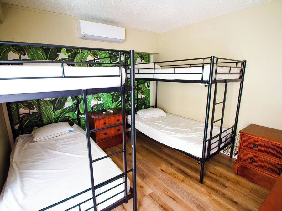 A bunk bed room with a wooden floor, a small dresser, and a wall with a tropical wallpaper.