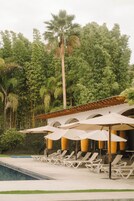 32-英寸智能电视 （配备数码频道）、电视