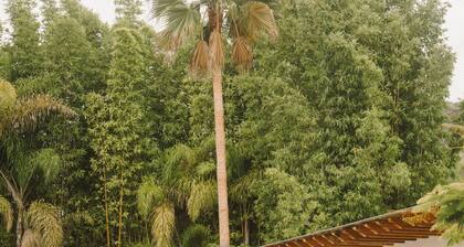 Hotel Hacienda La Venta