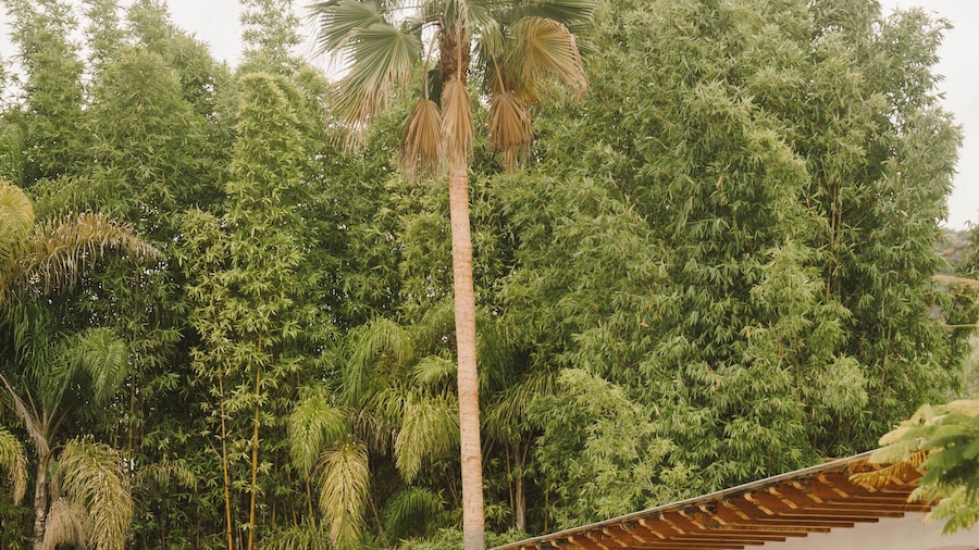 Hotel Hacienda La Venta