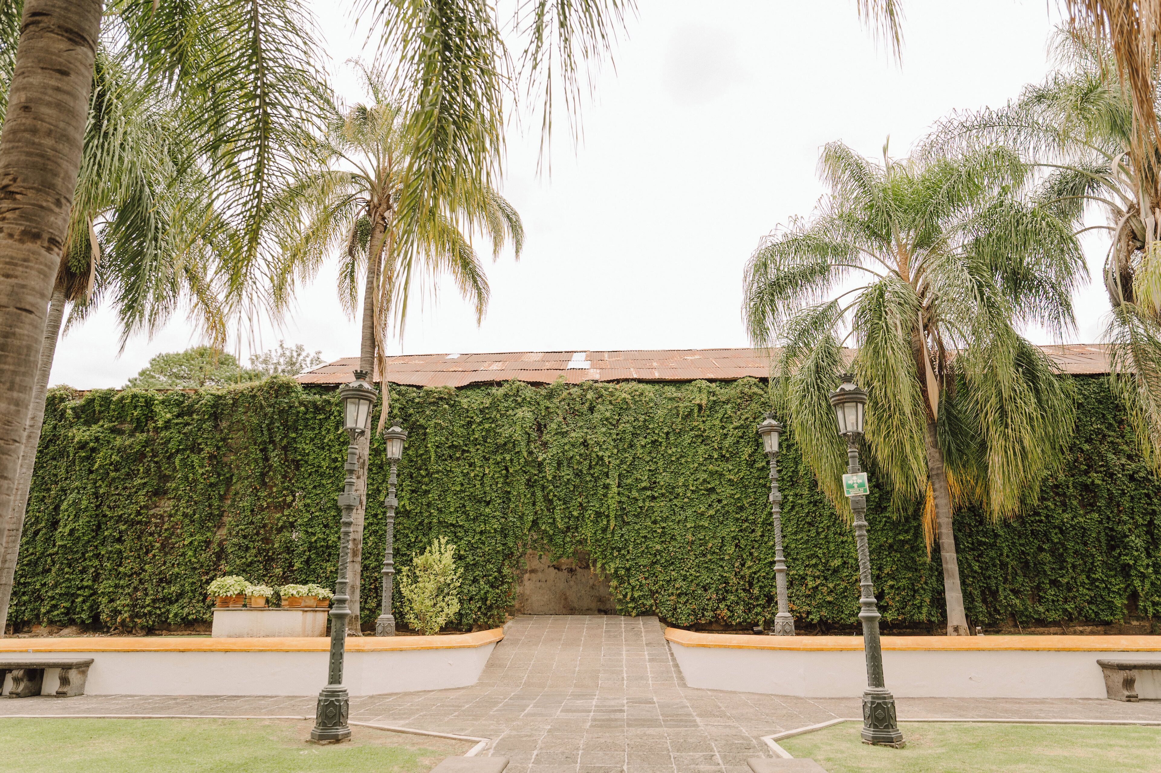 Un sendero pavimentado que conduce a un edificio con una pared cubierta de hiedra verde.