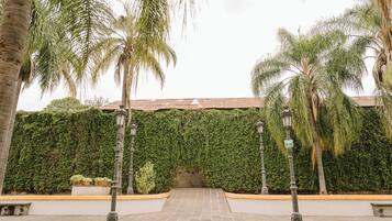 Un sendero pavimentado que conduce a un edificio con una pared cubierta de hiedra verde.