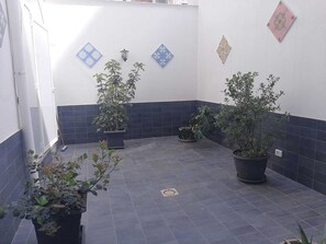 Suite estudio de lujo | Terraza o patio