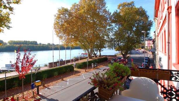 Un balcón con vista a un río, árboles y una calle con coches aparcados.