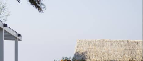 Outdoor wedding area