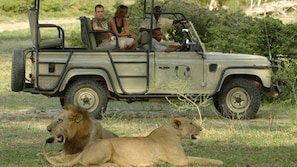 Safari
