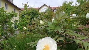 Unclassified image, 5 of 125, button - Hotel Nummerhof (Erding)