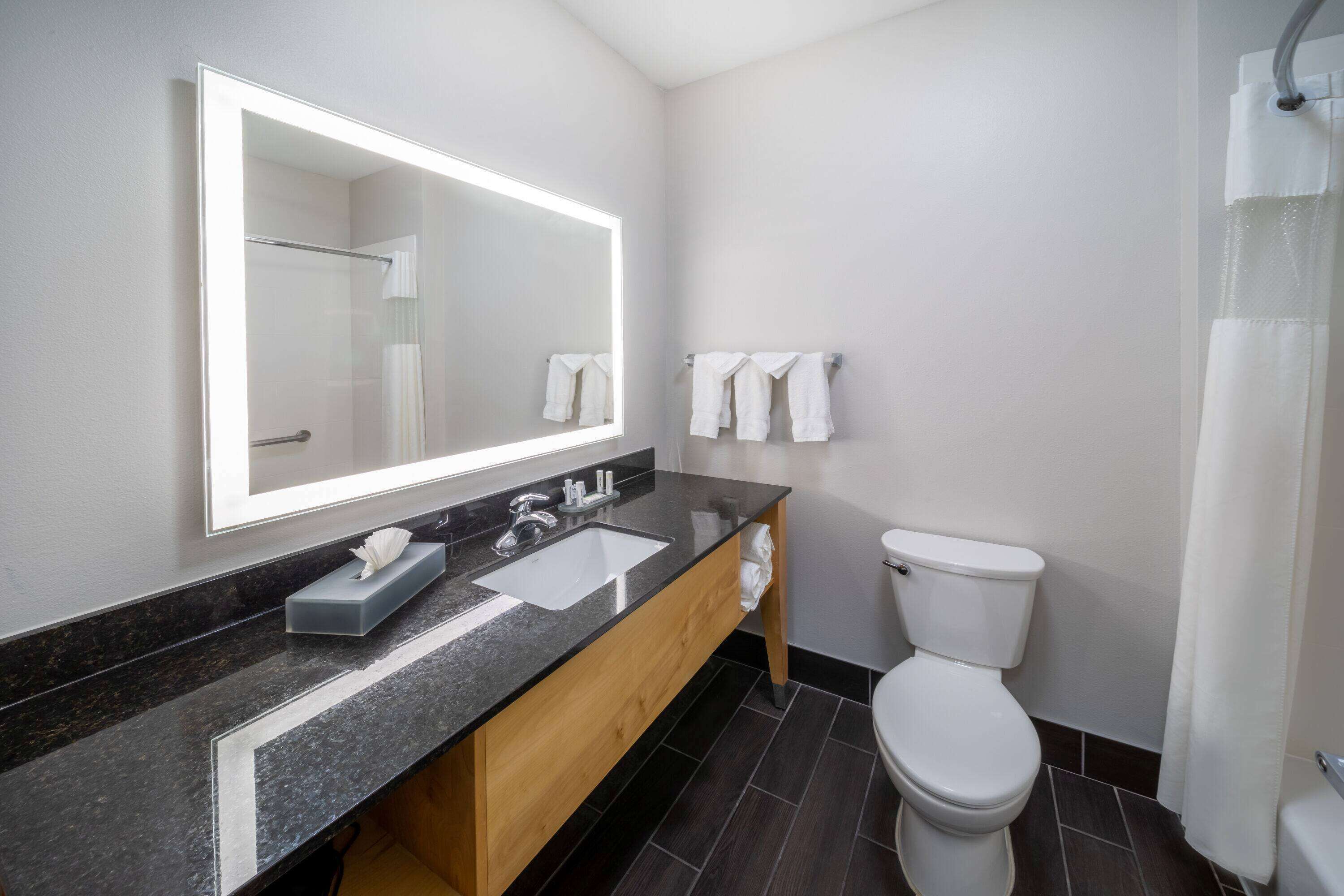 combined shower/bathtub, free toiletries, hair dryer, towels