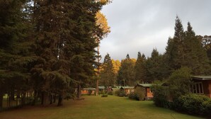 Un chalet entouré d’une forêt dense, avec plusieurs cabanes à proximité.