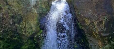 Una cascada en zona boscosa, con acantilados rocosos y abundante vegetación.