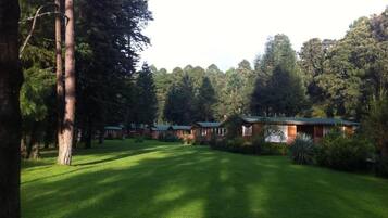 A row of cabins with a well-maintained lawn and tall trees in the background.