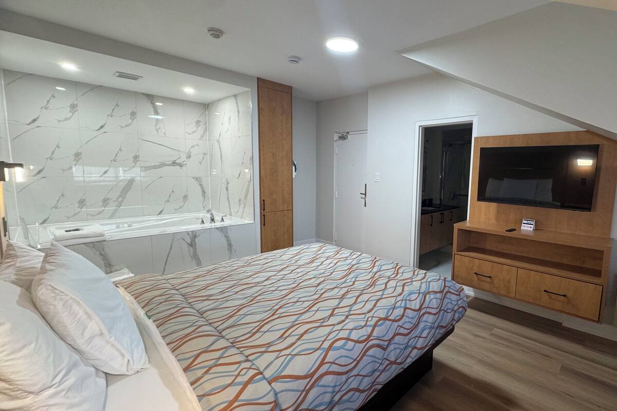 Un dormitorio con cama, bañera incorporada, televisor y armario.