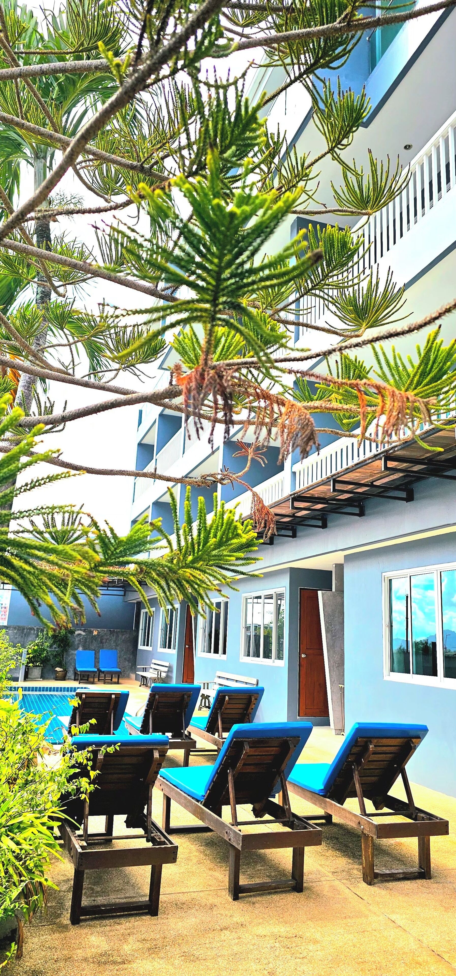 Chambre Deluxe (Pool Side) | Coin séjour | Télévision LCD de 32 pouces avec chaînes par câble, télévision