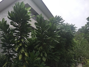 Um edifício com design arquitetônico moderno, rodeado por vegetação exuberante.