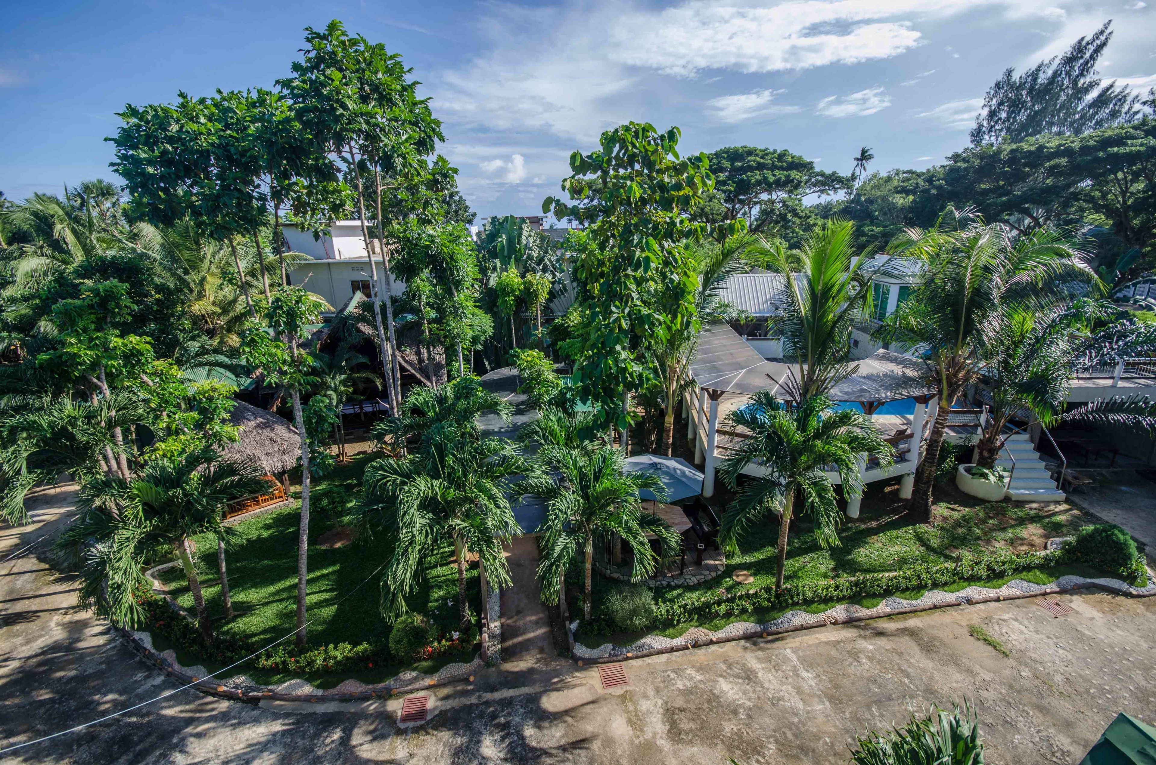 A tropical resort with a pool, palm trees, and a thatched-roof building.