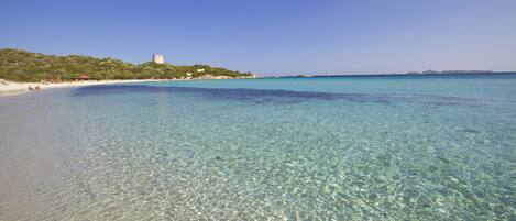 On the beach, white sand, windsurfing, sailing