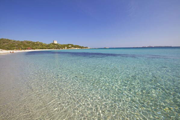 On the beach, white sand, windsurfing, sailing - Le Residenze di Sant'Elmo (Castiadas)